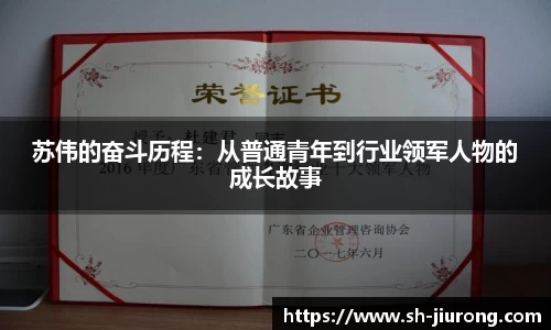 苏伟的奋斗历程：从普通青年到行业领军人物的成长故事